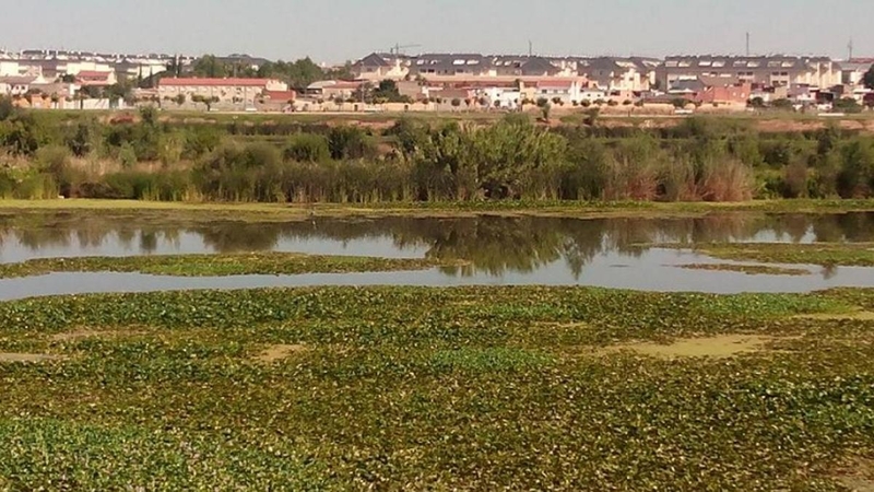 Amigos de Badajoz pide a la sociedad civil que acuda a la protesta convocada para este sábado por Salvemos el Guadiana