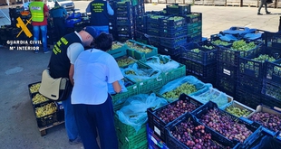 La Guardia Civil investiga a tres personas por la sustracción y comercialización ilegal de uva 