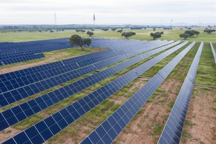 Conectada una nueva fotovoltaica en Badajoz que producirá energía equivalente al consumo anual de 4.000 hogares