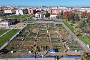 El Ayuntamiento de Badajoz lanza la segunda edición de los huertos urbanos ecológicos para mayores