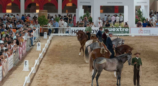 Ecuextre cierra su XVII edición consolidándose como el gran encuentro ibérico del caballo y el toro